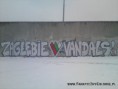 /album/graffiti-nielegale/a5ehc2s-jpg2/